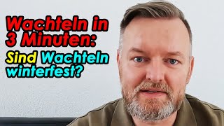 Sind Wachteln winterfest Wachtelnin3Minuten erklärt von der Wachtelfarm Hettstedt [upl. by Ttihw]