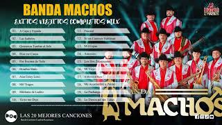 BANDA MACHOS EXITOS VIEJITOS COMPLETOS MIX  BANDA \ CORRIDOS \ CUMBIA \ RANCHERAS [upl. by Amled]