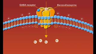 Benzodiazepines animation sedatives and hypnotics [upl. by Nihsfa]