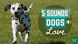 5 sounds to get you dogs attention  Sounds dogs and puppies love to hear [upl. by Cullin]