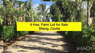 6 Hectares Farm Lot for Sale Silang Cavite [upl. by Nyleek487]