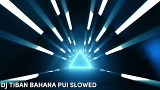 DJ TIBAN BAHANA PUI SLOWED EXTENDED OTGS [upl. by Hadeis174]