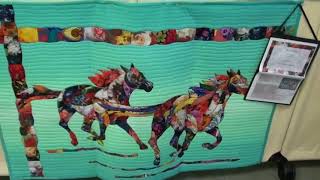 2018 hoffman challenge quilting SKILLZ competition quilting skill art [upl. by Yssim]