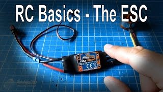 RC Basics  Understanding Electronic Speed Controllers ESC [upl. by Euqinom]