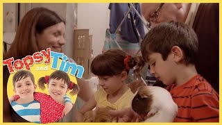 Topsy and Tim Pet Sitters Series 1 Episode 10 [upl. by Aihsia]