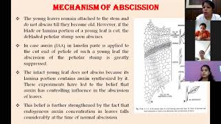 Mechanism of Abscission 1210 BSc Sem III [upl. by Htrag]