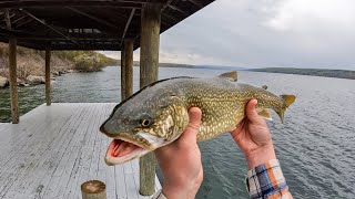 Finger Lakes Shore Fishing [upl. by Ikila]