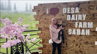 Family Vlog di Desa Dairy Farm 2024 ada Tema Chinese New Year [upl. by Nitsruk677]