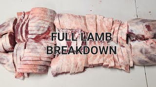 Full Breakdown Of A Lamb  Basic Step by Step Instructions [upl. by Kiefer]