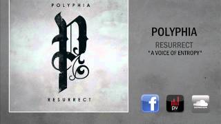 Polyphia  A Voice of Entropy [upl. by Jarrett]