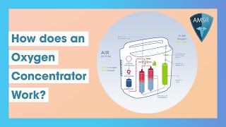 A Video Illustration on How a Portable Oxygen Concentrator Works [upl. by Anialahs792]