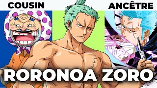 LA FAMILLE DE ZORO DANS ONE PIECE EXPLIQUÉE [upl. by Riki]