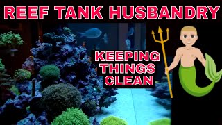 Keeping Your Rock And Sandbed Healthy  Reef Tank Husbandry [upl. by Melar]