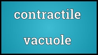 Contractile vacuole Meaning [upl. by Casteel297]