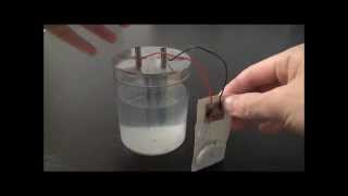 93315 Voltaic Cell Experiment Kit [upl. by Aed]