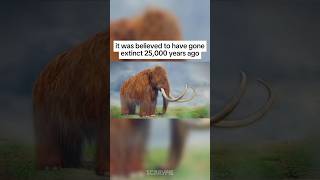 Extinct Animals Scientists Close To Reviving 😱 youtubeshorts [upl. by Harilda]