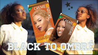 How To Dye Natural Hair Crème of Nature Hair Dye NO BLEACH [upl. by Duax]