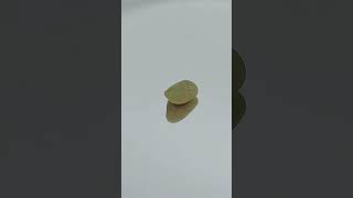 Rarest GREEN raw SAPPHIRE gem found in Italy 💎 Amazing specimen [upl. by Ynatsed684]