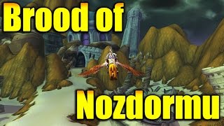 Brood of Nozdormu reputation farm guide [upl. by Cori]