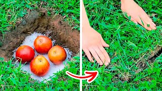 New Gardening Hacks That Will Blow Your Mind  Growing Hacks For Plant Lovers [upl. by Sierra]