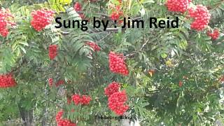 Rowan Tree sung by Jim Reid [upl. by Hebrew]