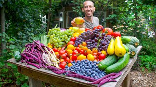 Unbelievable Organic Garden Harvest This is What I Harvested Today [upl. by Lentha]