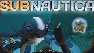 Subnautica Update Avoir le Calineur [upl. by Latsyc]