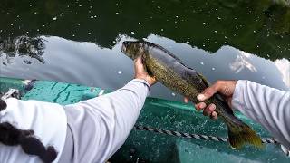 Insane River Fishing Trip Lands Me My First Walleye [upl. by Donata]