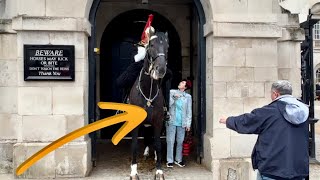 IDIOT GET OUT Tourist STAND Inside Horse box as PUBLIC Told Get OUT THERE 😡🤬 [upl. by Albie]