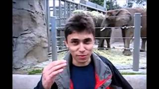 First YouTube Video  Me at the zoo By Jawed Karim  YouTube CoFounder [upl. by Cul]