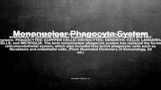 Medical vocabulary What does Mononuclear Phagocyte System mean [upl. by Yelak]