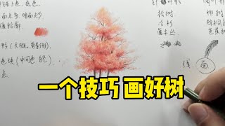 树怎么画？一个技巧解决！彩铅教程 [upl. by Euqinamod]