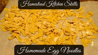 Homemade Egg Noodles Recipe  How To Make Amish Noodles  Homestead Kitchen Skills [upl. by Enyaw]