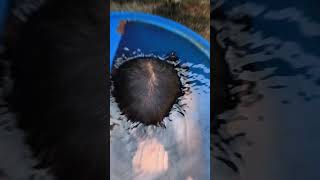 Angana mein swimming cool 😎 funny swimming shorts trending video short [upl. by Hannala]