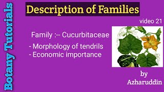 CucurbitaceaeMorphology of tendrils amp Economic importance [upl. by Calvano417]