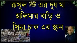 রাসুল ﷺ এর দুধ মা হালিমার বাড়ী ও সিনা চাকের স্থান মাকারিম ৮ [upl. by Hughmanick]