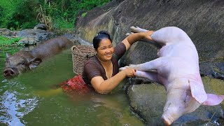 survival in the rainforest  Found Pig at river  Fried Pig with chili for food Eating [upl. by Othe]