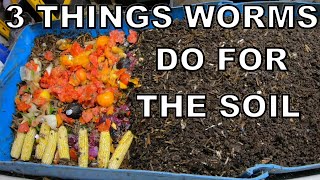 Top 3 ways Worm Castings fix your soil [upl. by Hamon399]