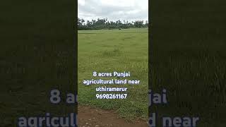 uthiramerurfarmland agricultural landlow budget farmland 9698261167 [upl. by Trilbie]