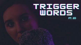 ASMR Dictionary Trigger Words 📕 Pt 20 [upl. by Ettenahs]