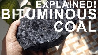 How coal is formed  Practically demonstration [upl. by Znarf425]