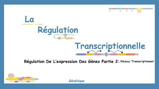 De LADN À LARN Comprendre Les Mécanismes De La Régulation Transcriptionnelle [upl. by Ecnarret632]