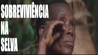 Sobrevivência na Selva [upl. by Aynos]