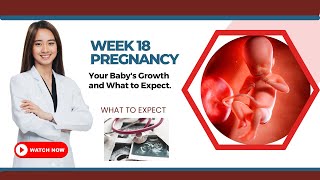 18 Weeks Pregnant Your Babys Growth and What to Expect [upl. by Elexa]