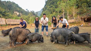 Worlds First Discovery Vlog To Visit Ly Thi Ca Farm amp Residence [upl. by Lat29]