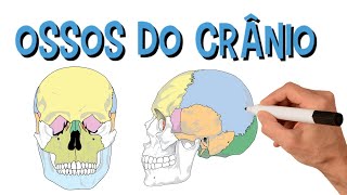 ✅ CRÂNIO OSSOS DA CABEÇA EM 2 MINUTOS [upl. by Koerlin105]