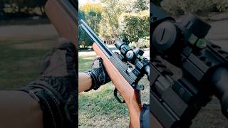 Evanix AR6K 22 Hunting Master PART 3 shorts targetshooting plinking airguns pcp [upl. by Deerdre]