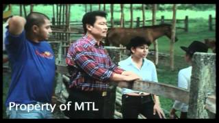 Tatlong Baraha  Part 58 2006 Movie  Lito Lapid Mark Lapid Maynard Lapid [upl. by Son]