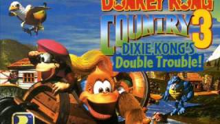 Donkey Kong Country 3  Baron K Roolenstein [upl. by Carlyle]