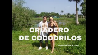 Criadero de cocodrilos Ciénaga de Zapata CUBA [upl. by Prussian]